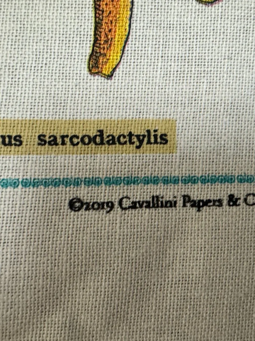 Cavallini Papers & Co. new no